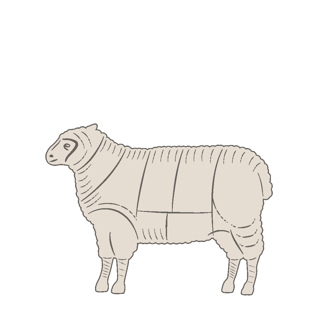 Lamb